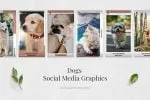 Dogs Animated Instagram Stories