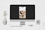 Dogs Animated Instagram Stories