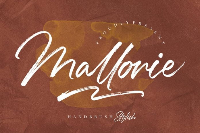 Mallorie Handbrush Stylish