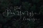 Mallow Script