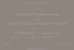 Manchester - Signature Script Typeface Font