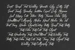 Manifesto Font