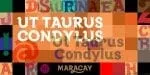 Maracay Font