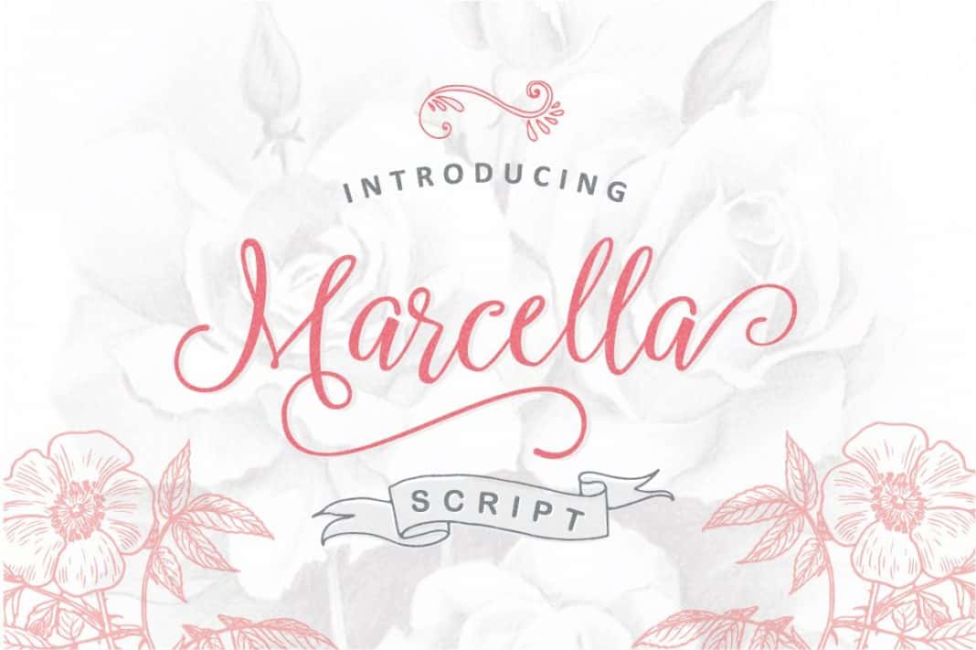 Marcella Script Font