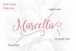 Marcella Script Font