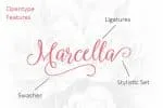 Marcella Script Font