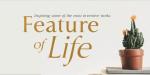 Marcus Traianus Font Family