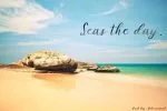 Beach Day Script Font
