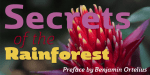 Marintas Font Family