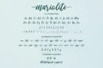 Mariolite-Modern Script Font