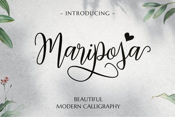 Mariposa - Beautiful Modern Calligraphy