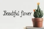 Marjana Font