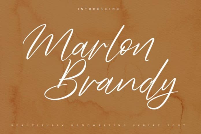 Marlon Brendy Font