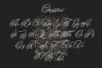 Marmoreal Decorative Script Font