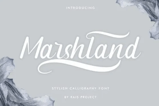 Marshland Font