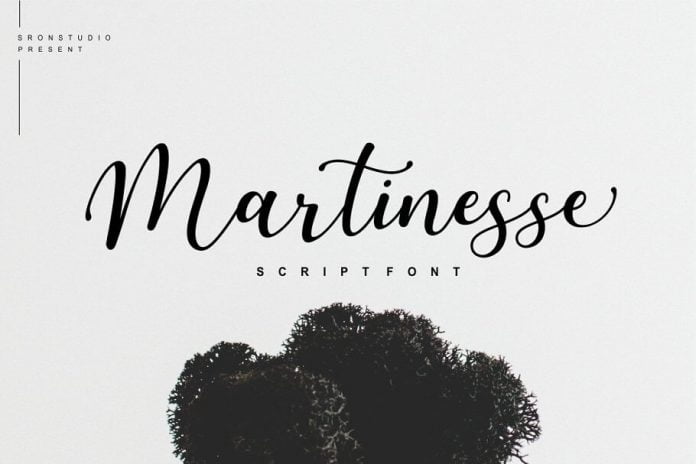 Martinesse - Beautiful Script Font
