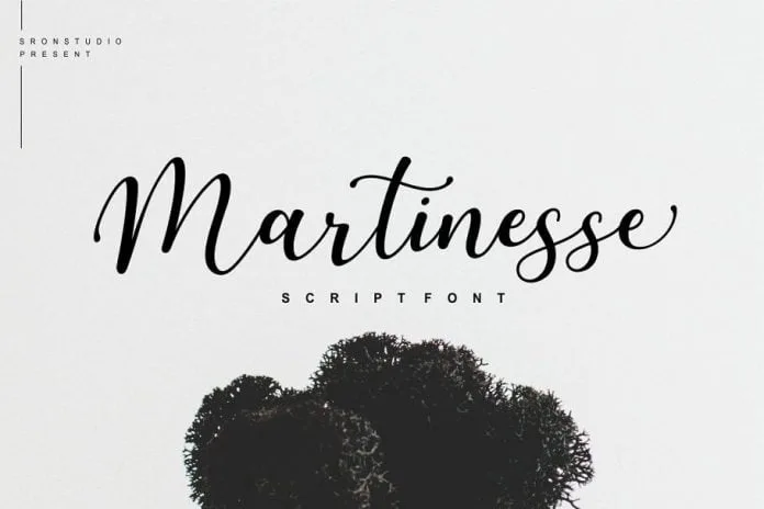 Martinesse - Beautiful Script Font