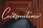 Marttiny Modern Script Font