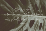 Maryline Font