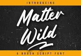 Matter Wild - Brush Font