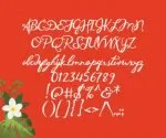 Maunaloa Font