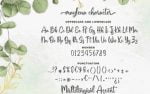 Maylena a Romantic Script Font