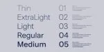 Mazin Font Family