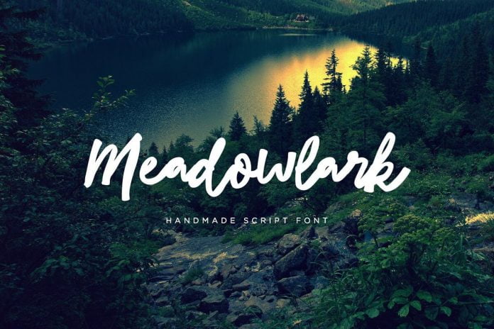 Meadowlark Script Font