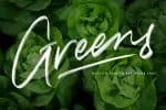 Measter Pioneer SVG Brush font