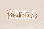 Medium Rosebud Font