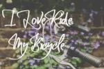 Meggallodont Font