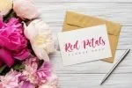 Melatie - Beautiful Script