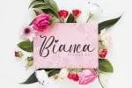 Meliska Font