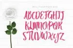 Melita Script Font