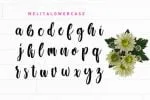 Melita Script Font