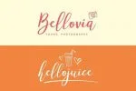 Mellisa Script & Extras Font