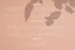 Mellisya Signature Font
