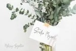 Mellisya Signature Font