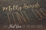 Melly Script Font