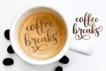 Meltisia Font