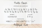 Menditta - Bounce Calligraphy Font