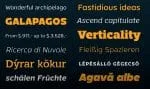 Mensch 32 Fonts of Sans & Serif Font