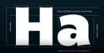 Mensch 32 Fonts of Sans & Serif Font