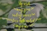Mentose Font