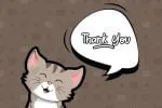 Meow Meong Font