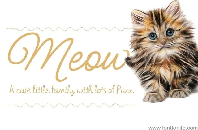 Meow Script Font
