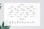 Merellian Calligraphy Font
