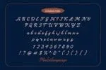 Meritorious Script Font