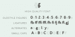 Merlo Neue Round Font Family