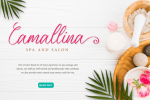 Merlynea Font
